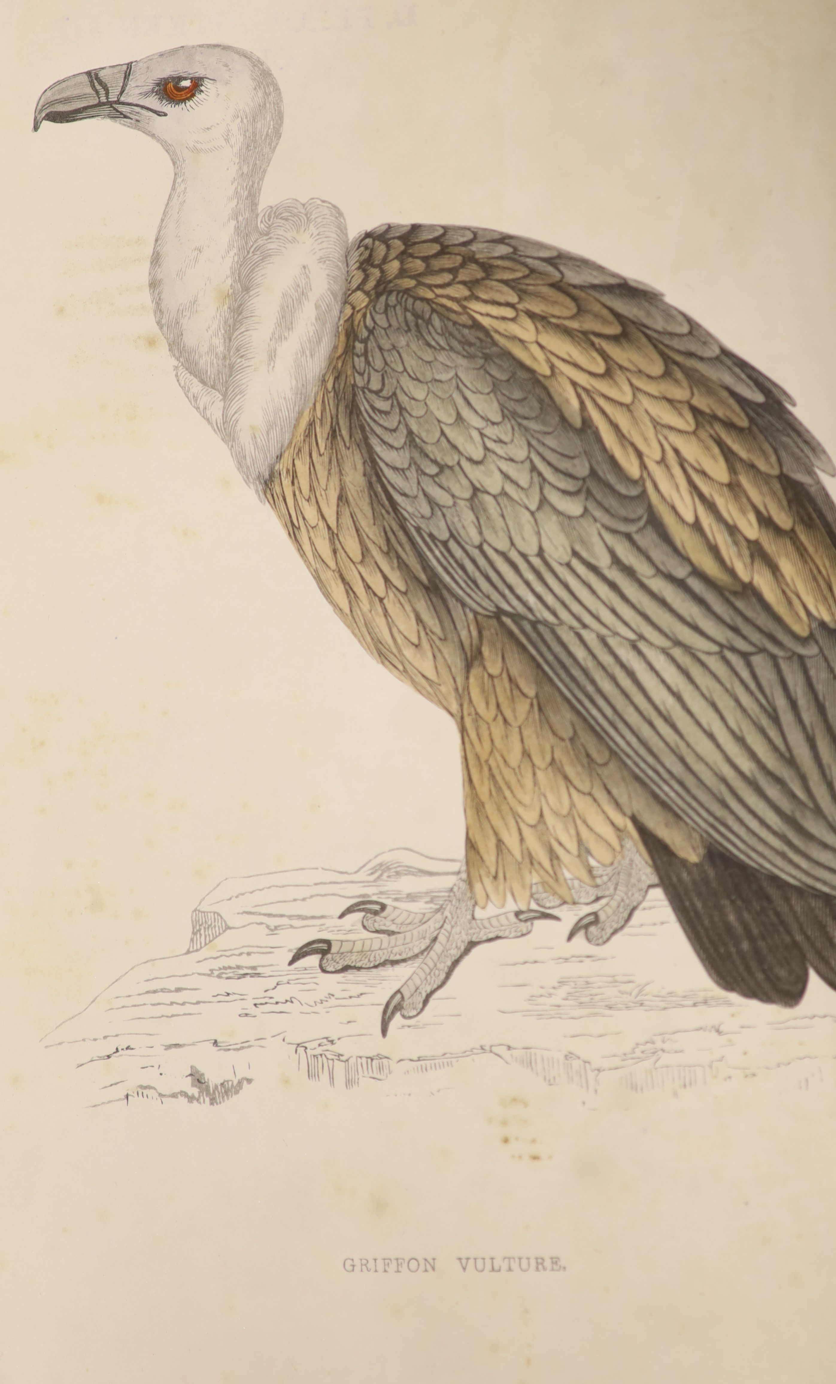 Wood, Rev. J. G - The Illustrated Natural History, qto, half calf, - Birds, George Routledge, London, [1872]; Yarrell, William - A Natural History of British Birds, 4 vols, 8vo, cloth, John Van Voorst, London, 1882-84; M